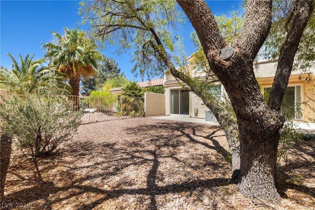 5345 Painted Mirage Road Property Photo 41