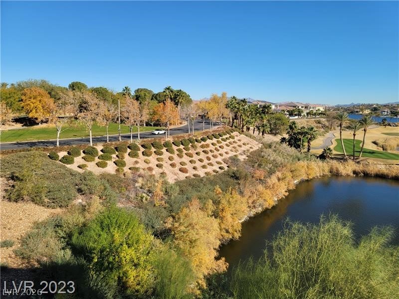 29 Montelago Boulevard 336 Property Photo 22