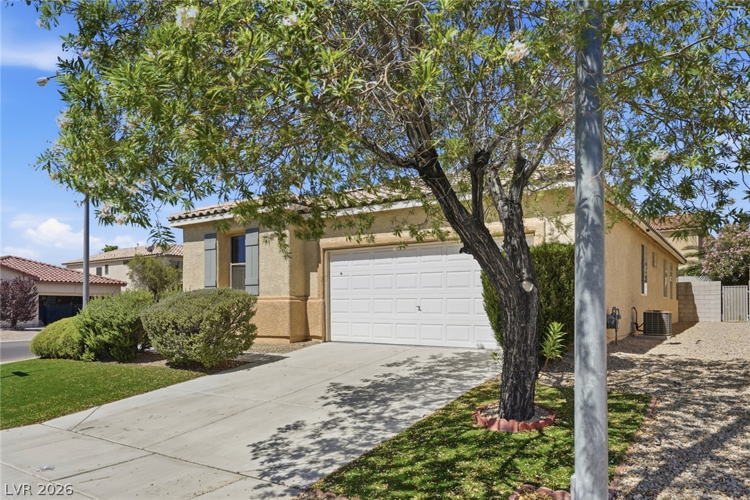 5575 Cresent Valley Street Property Photo 4