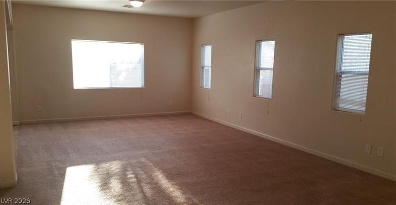 10371 Calypso Cave Street Property Photo 11