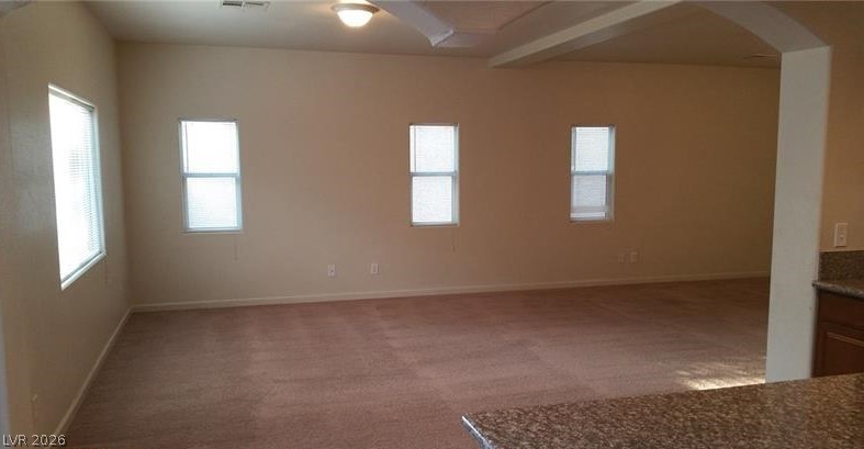 10371 Calypso Cave Street Property Photo 13