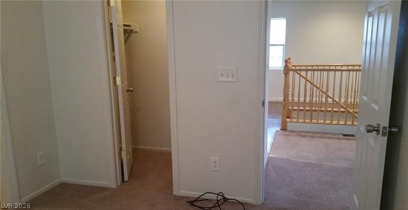 10371 Calypso Cave Street Property Photo 20