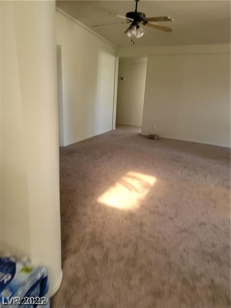 1413 Bryn Mawr Avenue Property Photo 43