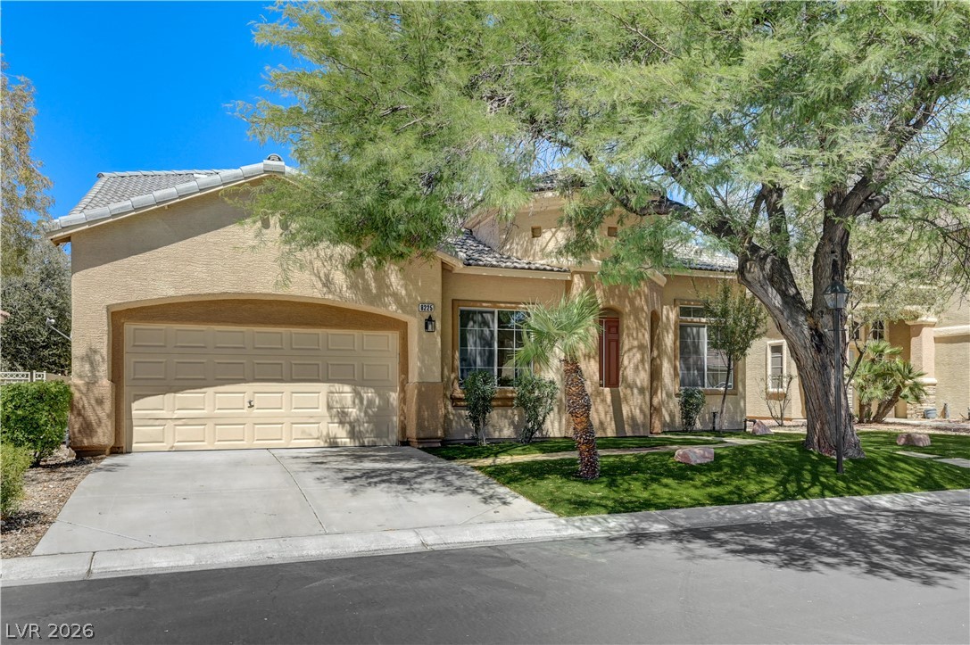 8225 Romantic Sunset Street Property Photo 3