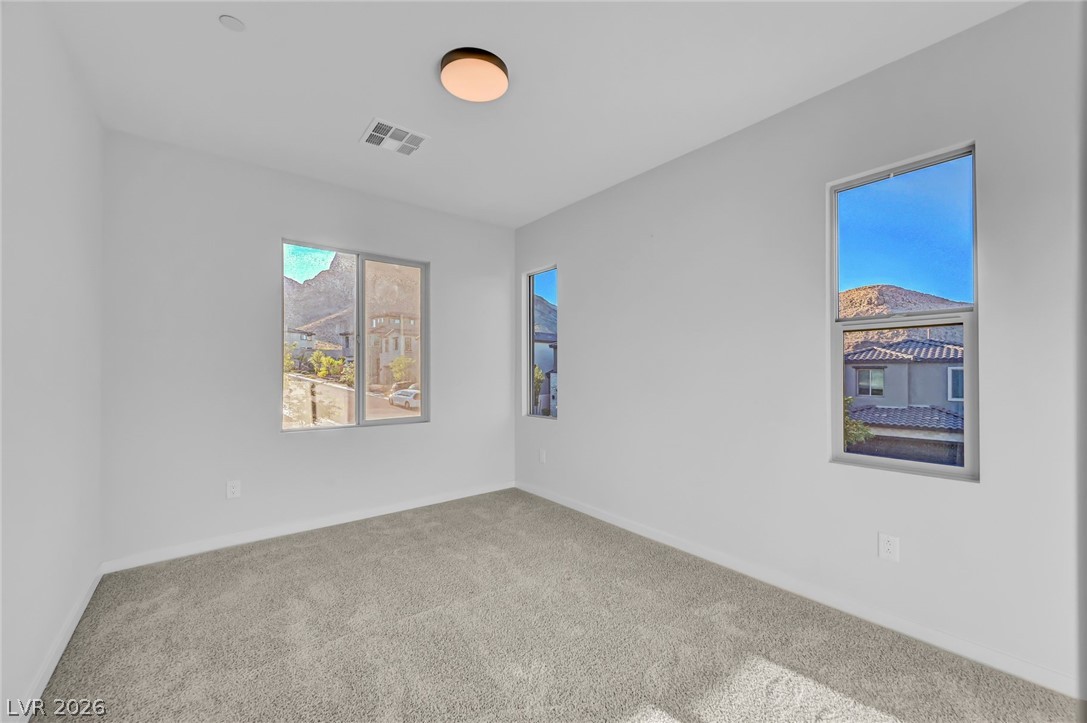 2408 Switchback Valley Street Property Photo 34