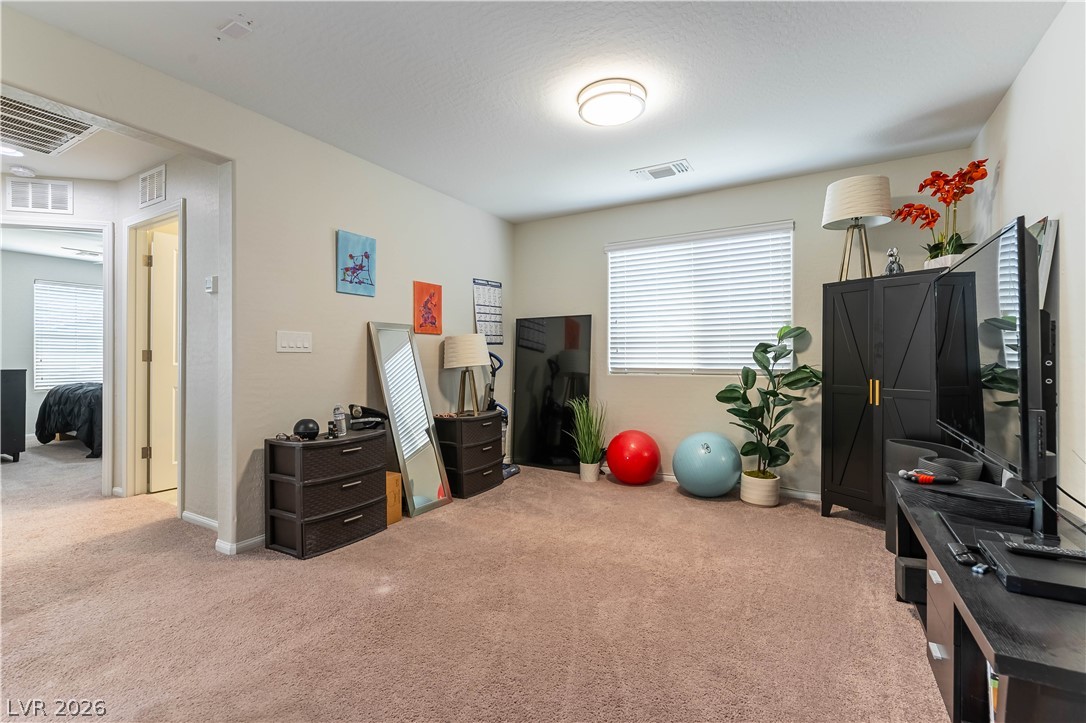 9067 Field Maple Street Property Photo 28