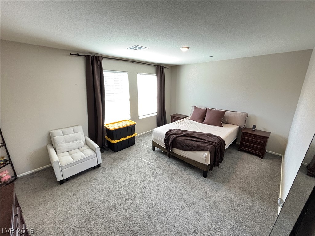 6173 Hibiscus Garden Street Property Photo 16