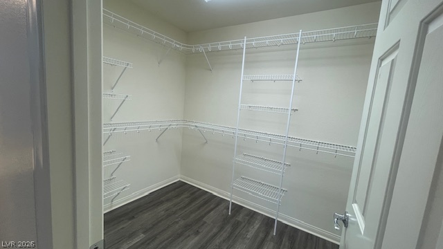 5942 Atlantis Dream Avenue Property Photo 16