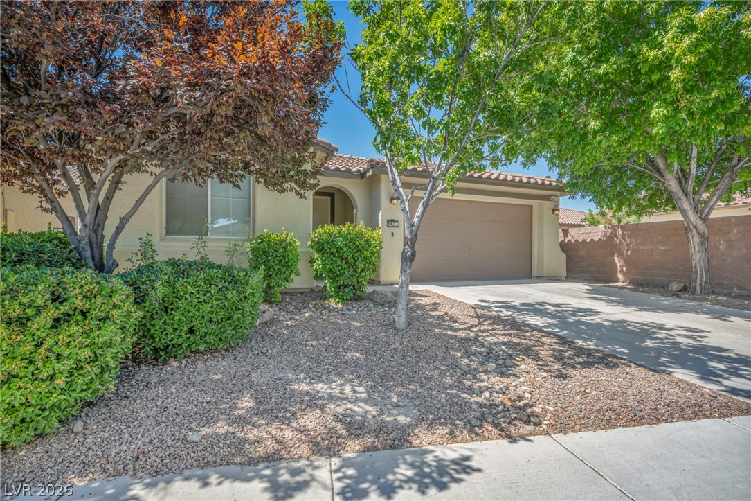 5401 Carrara Pointe Street Property Photo 3