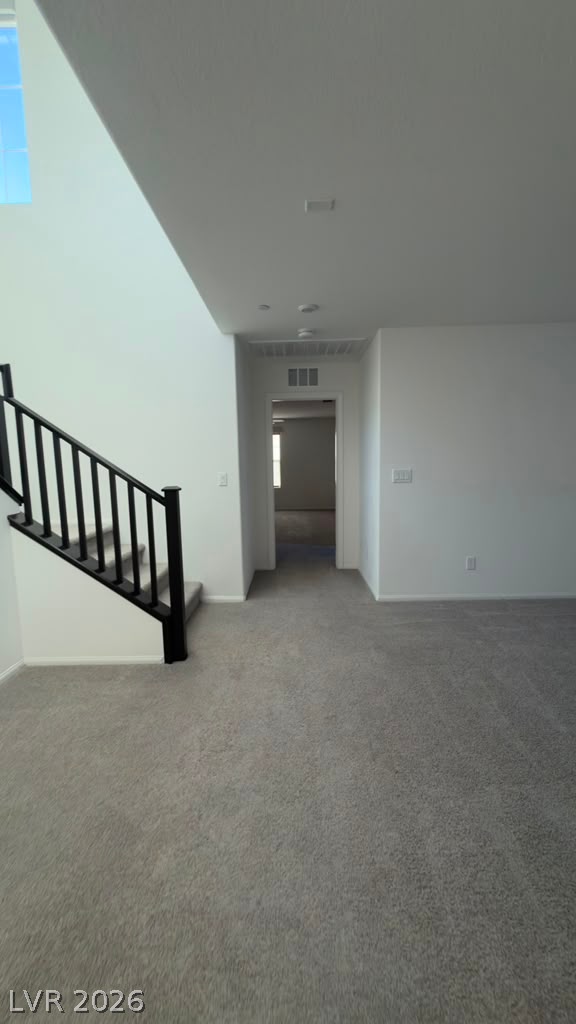 10610 Sariah Skye Avenue Property Photo 19