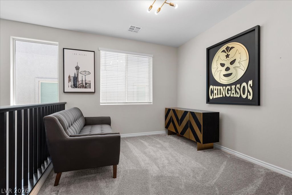10801 Space Odyssey Avenue Property Photo 46