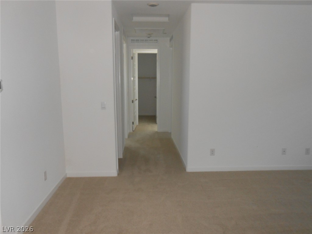 1025 Copper Robin Street Property Photo 17