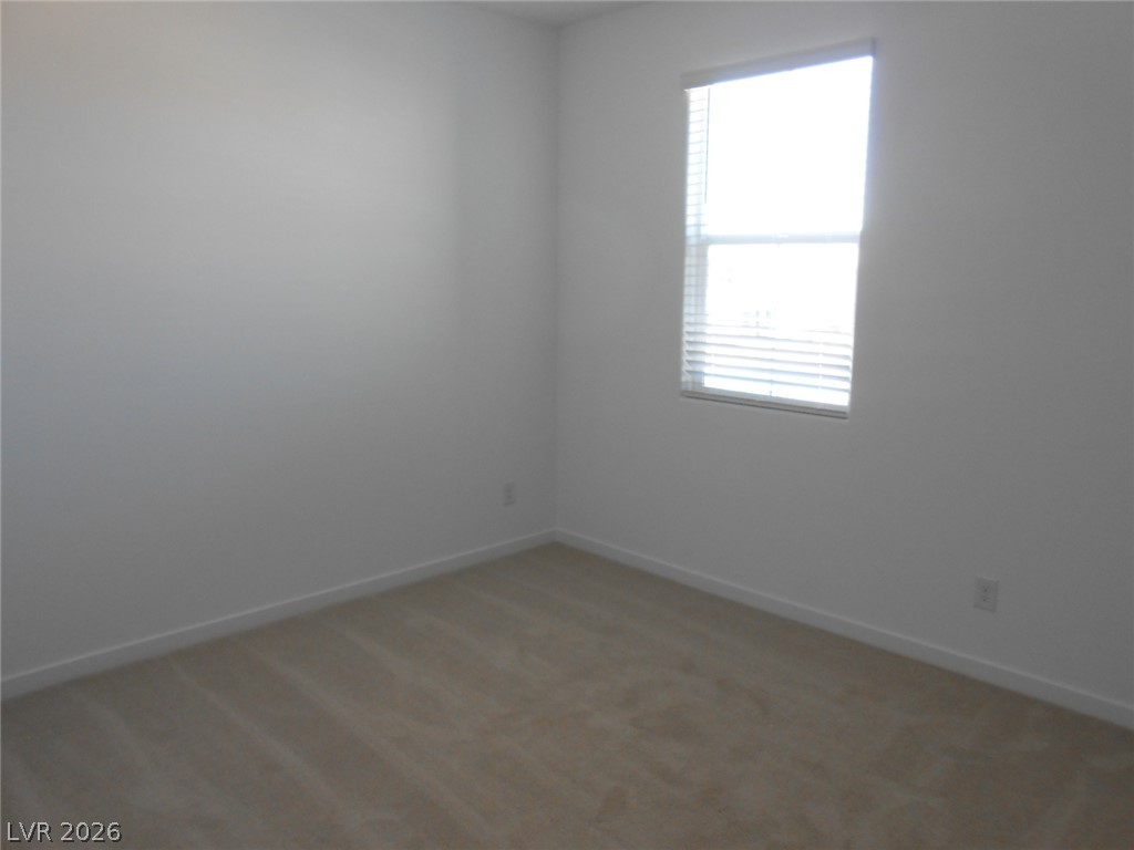 1025 Copper Robin Street Property Photo 20