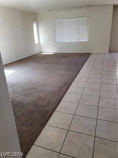 206 Valerian Street Property Photo 28