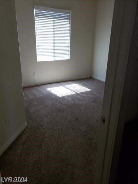 206 Valerian Street Property Photo 41