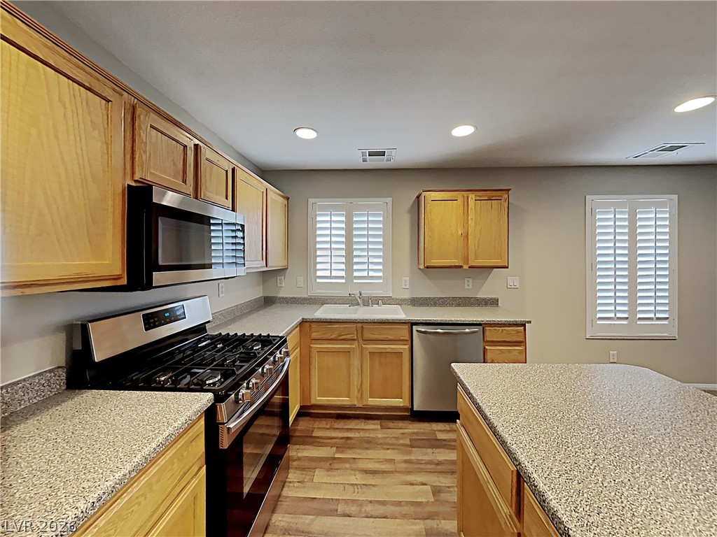 10339 Ladybug Bend Street Property Photo 3