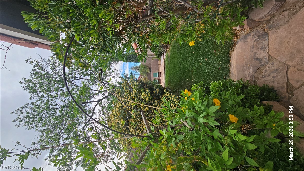 3205 Shallow Point Circle Property Photo 60