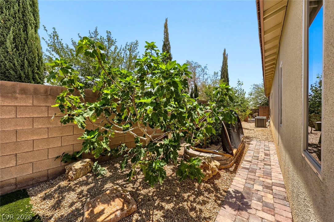 9752 Serene Star Way Property Photo 66