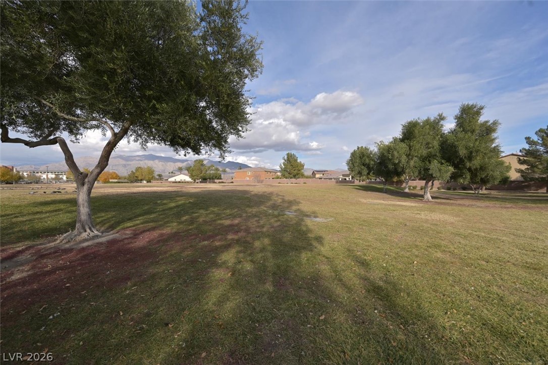 728 Emerson Creek Court Property Photo 30