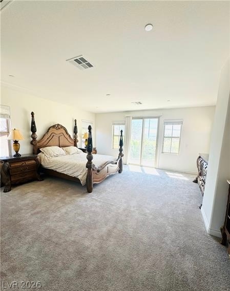 55 Contrada Fiore Drive Property Photo 27