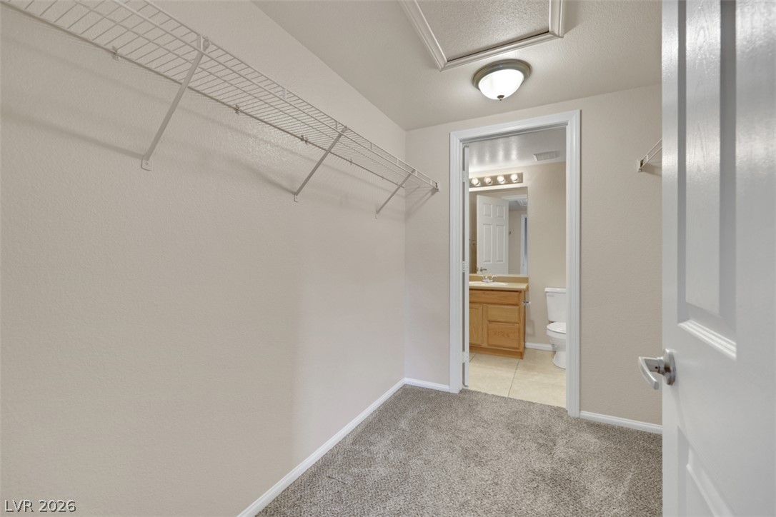 488 Parrot Beak Property Photo 17
