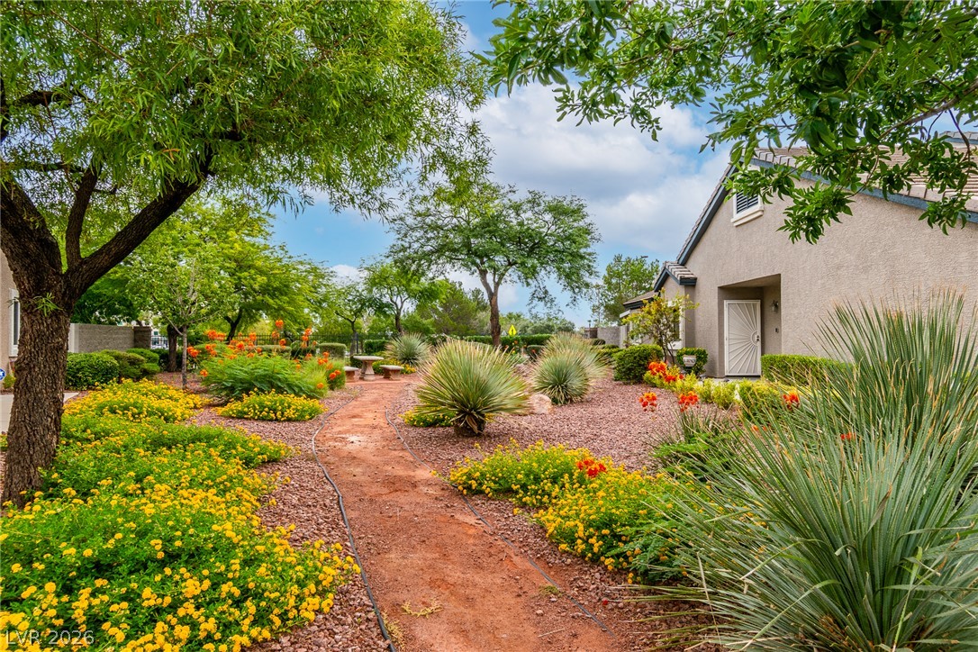 509 Painted Cloud Place Property Photo 36