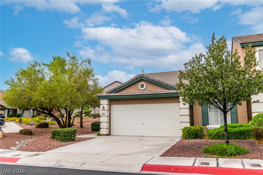 509 Painted Cloud Place Property Photo 40