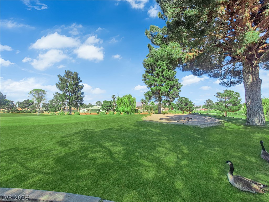 5336 Singing Hills Drive Property Photo 40