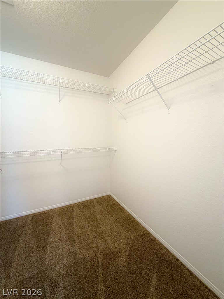 9031 Spring Star Court Property Photo 6