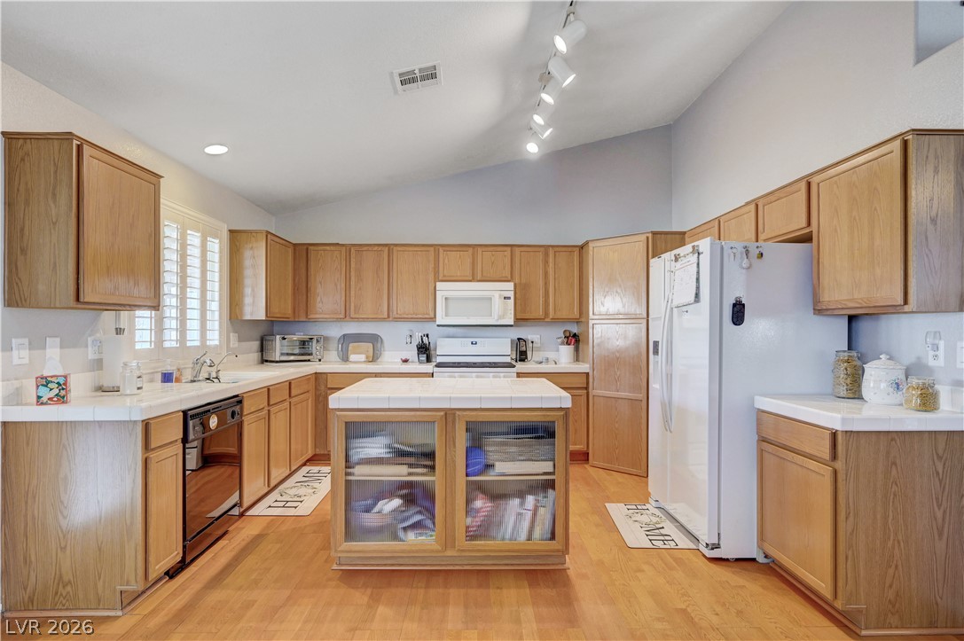 246 Amber Light Court Property Photo 17