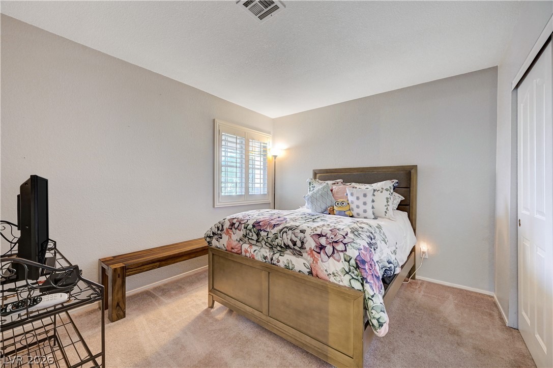 246 Amber Light Court Property Photo 37