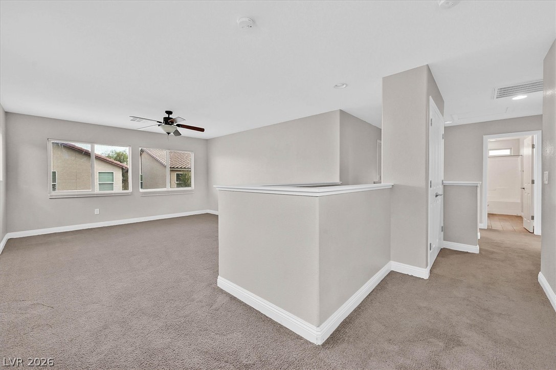 10656 Snow Lake Street Property Photo 13