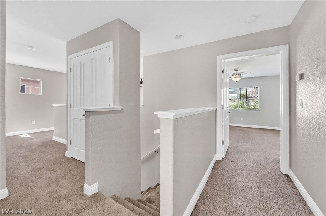 10656 Snow Lake Street Property Photo 15