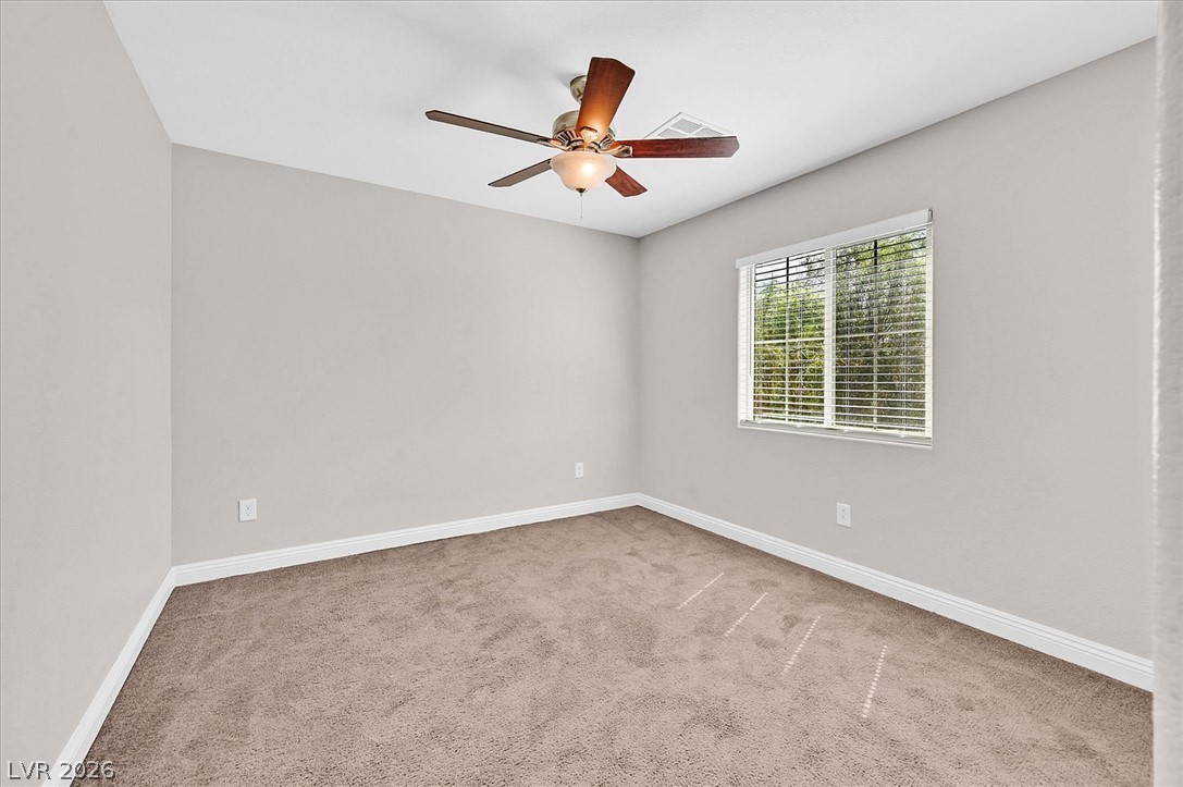 10656 Snow Lake Street Property Photo 20