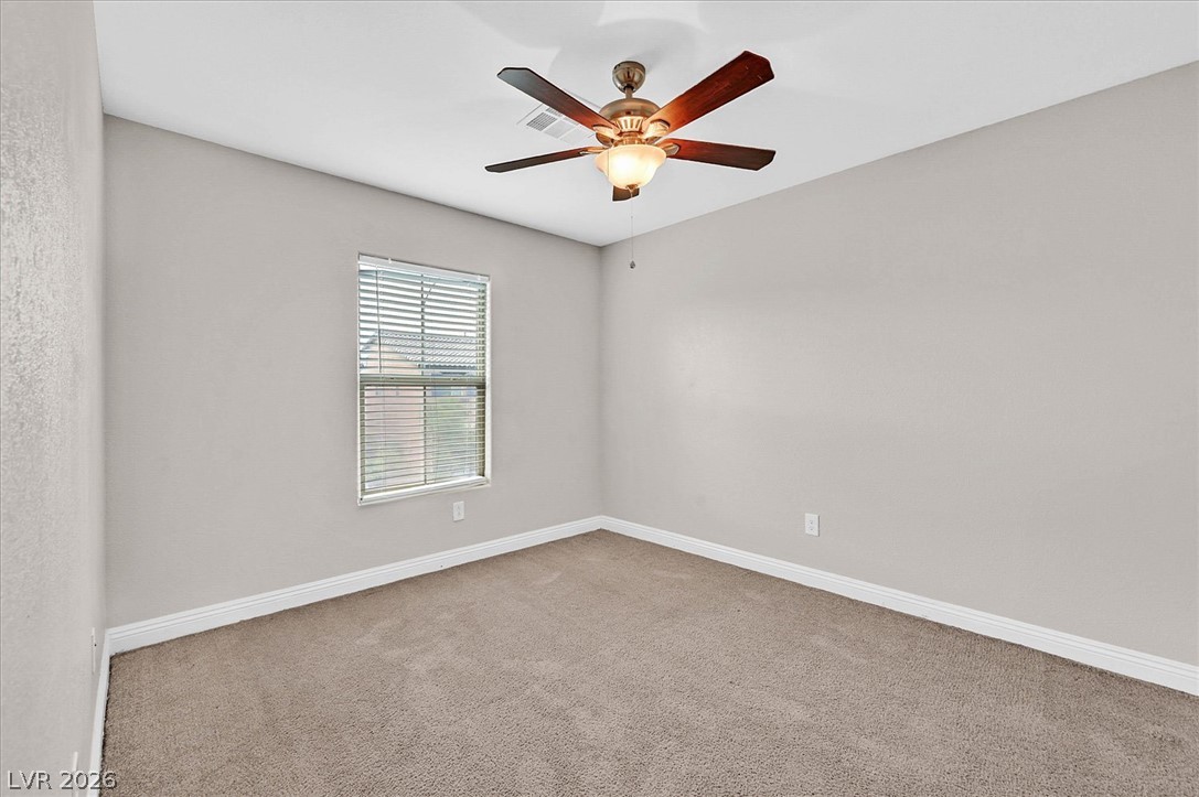 10656 Snow Lake Street Property Photo 22