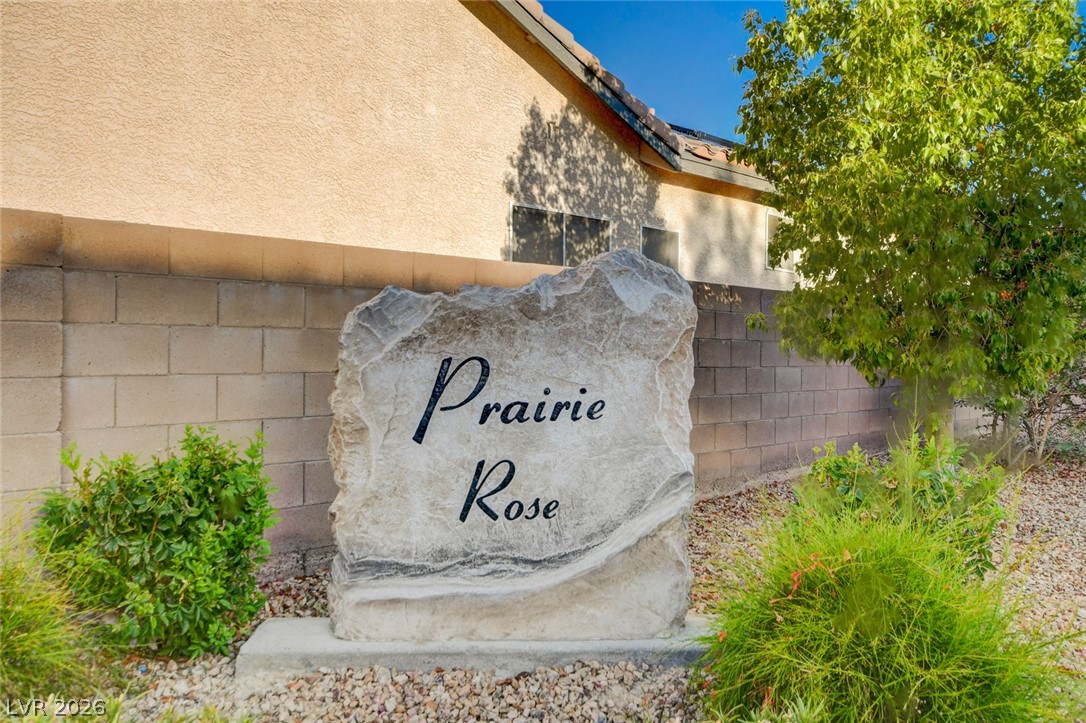 8284 Aurora Peak Avenue Property Photo 53