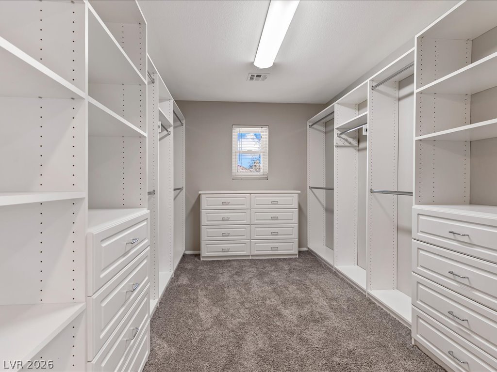11145 Alora Street Property Photo 49