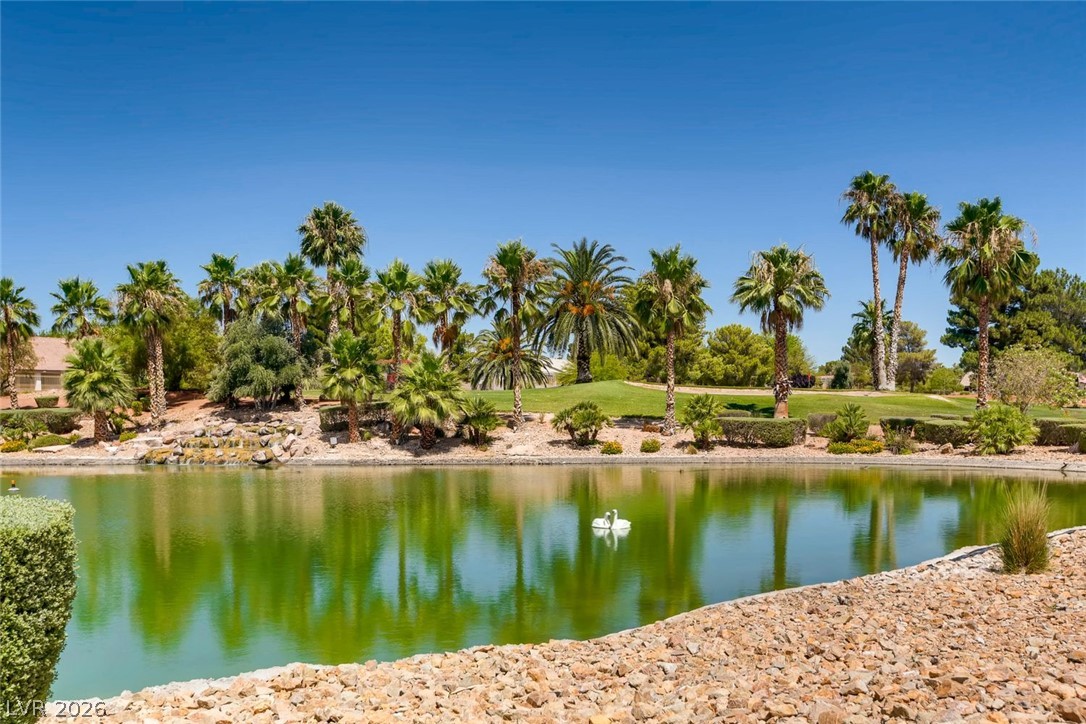5421 Desert Paradise Drive Property Photo 32