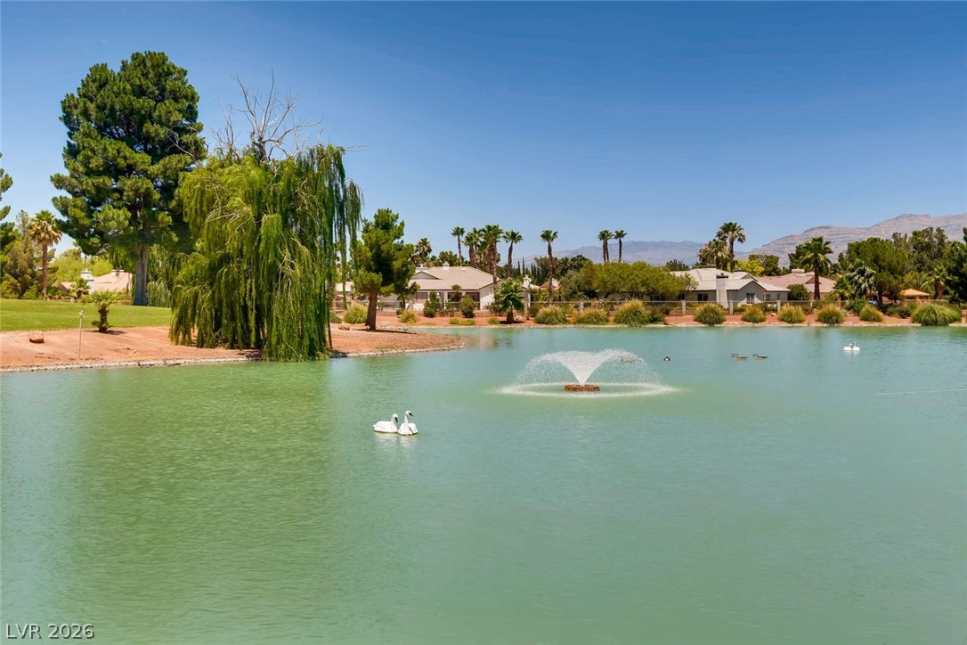 5421 Desert Paradise Drive Property Photo 37