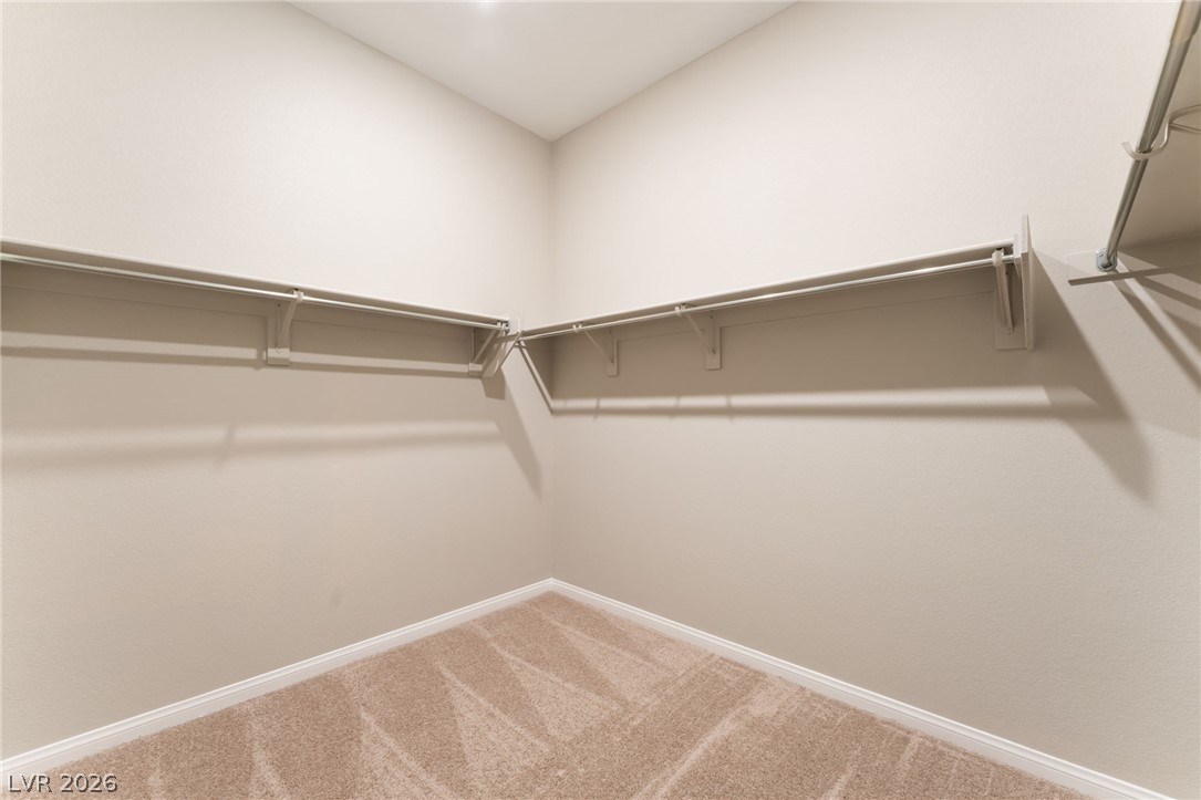 10381 Celestial Pole Street Property Photo 33