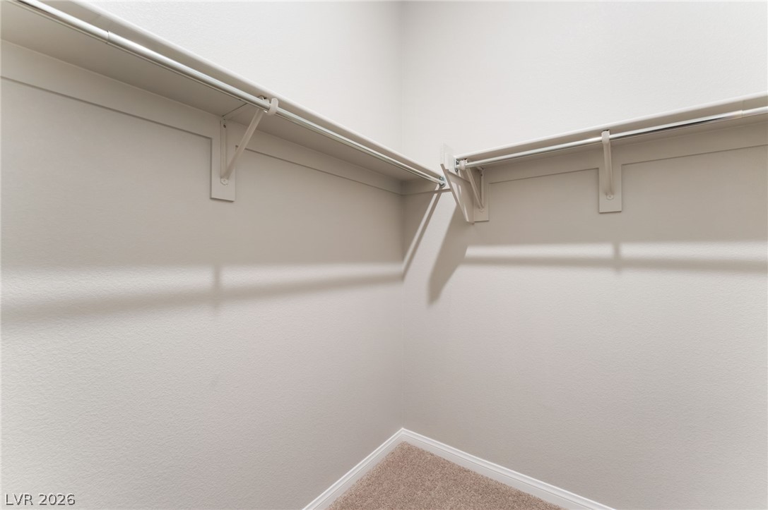10381 Celestial Pole Street Property Photo 40