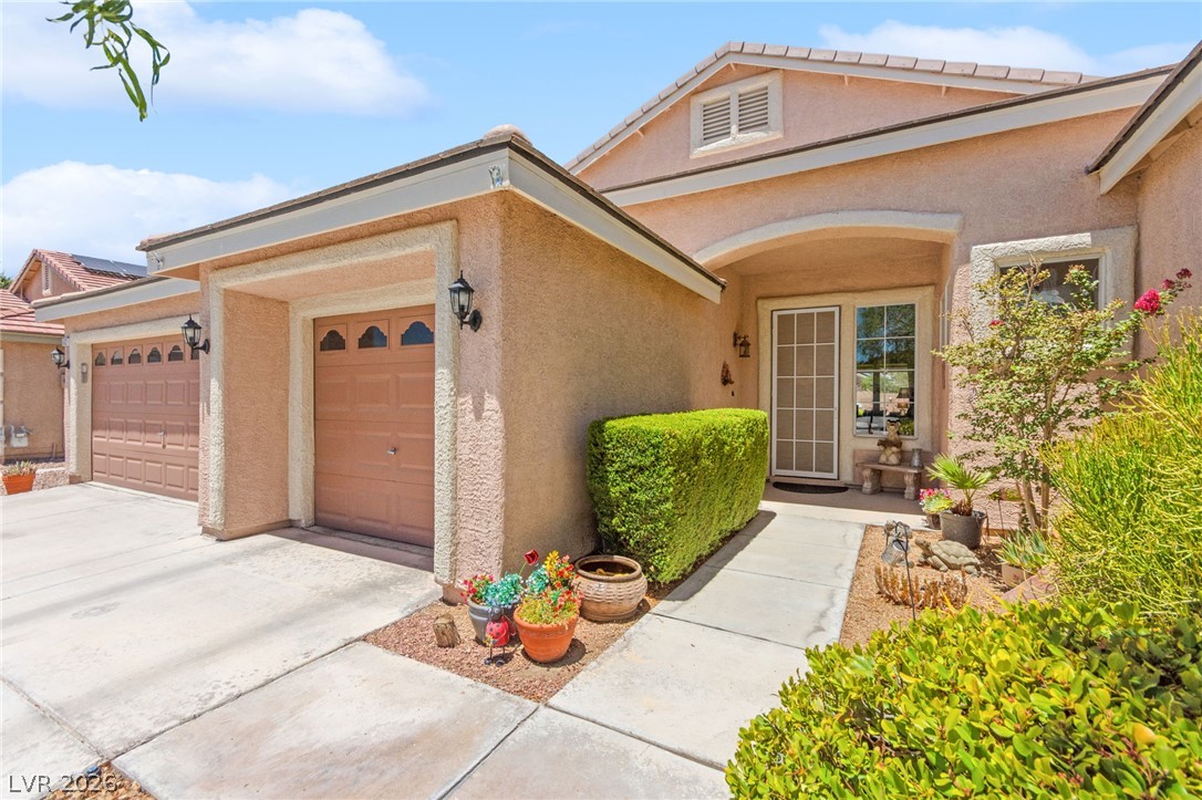 5432 Springer Spaniel Avenue Property Photo 7