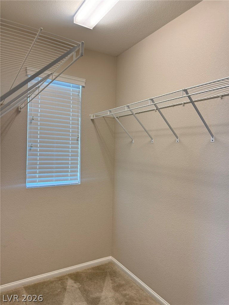 2853 Tanager Hill Street Property Photo 16