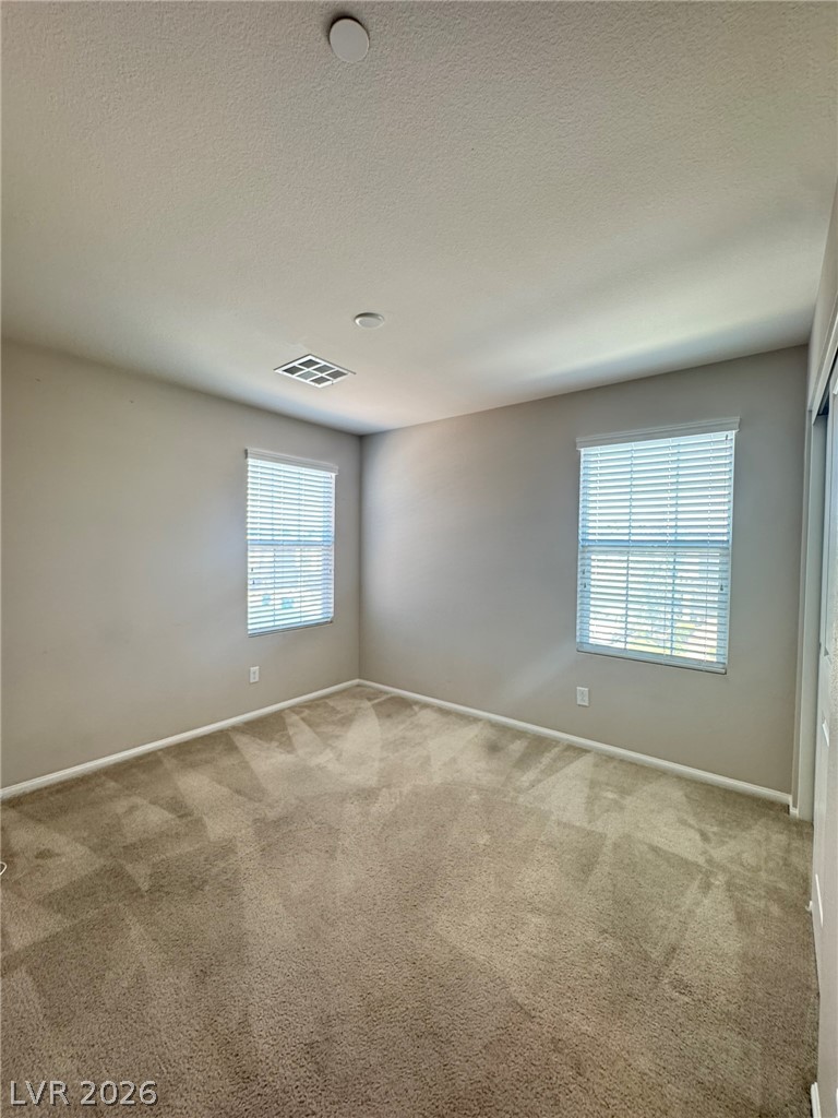 2853 Tanager Hill Street Property Photo 19