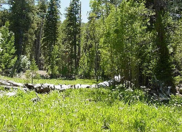 0 Deer Creek Property Photo 1
