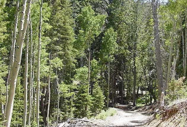 0 Deer Creek Property Photo 4