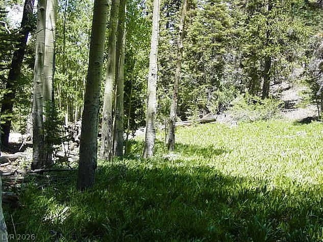 0 Deer Creek Property Photo 6