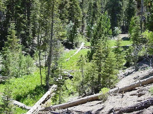 0 Deer Creek Property Photo 7
