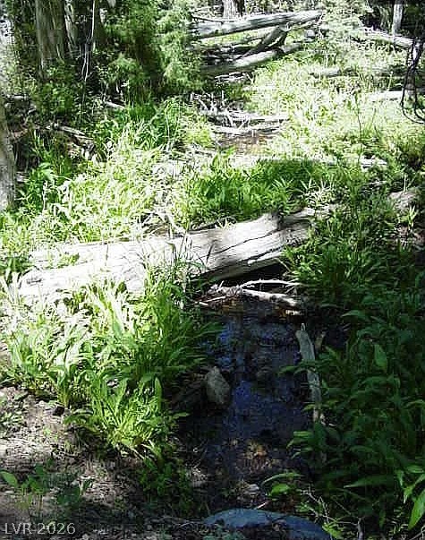 0 Deer Creek Property Photo 11