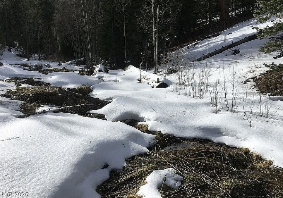 0 Deer Creek Property Photo 12